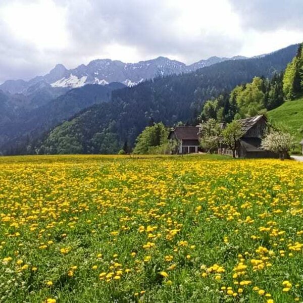 Blick auf die Karawanken