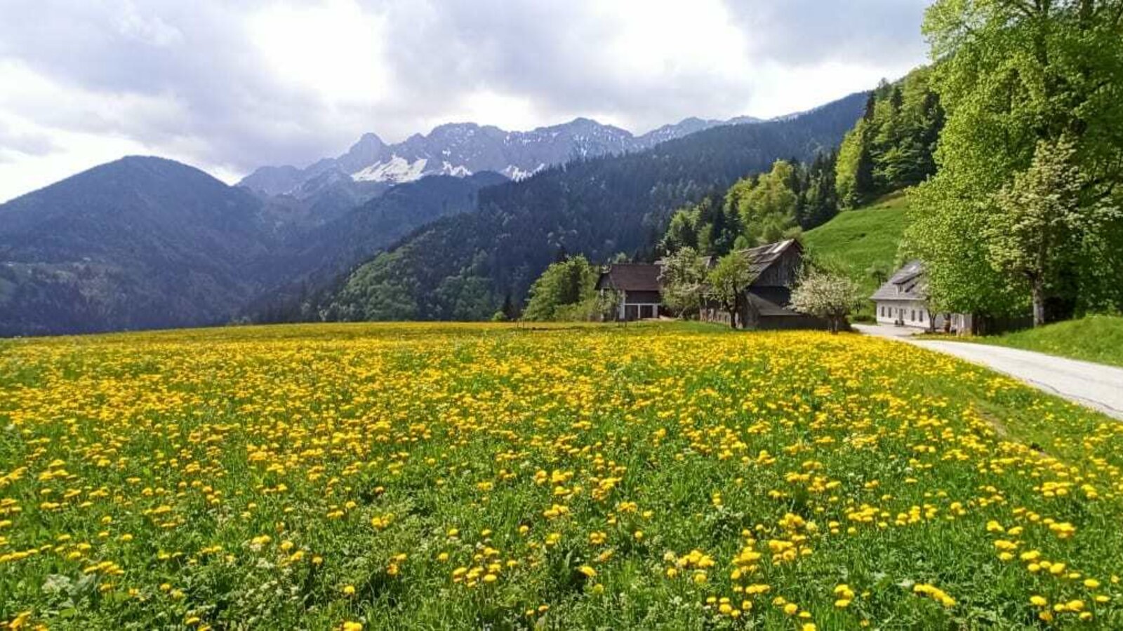 Blick auf die Karawanken