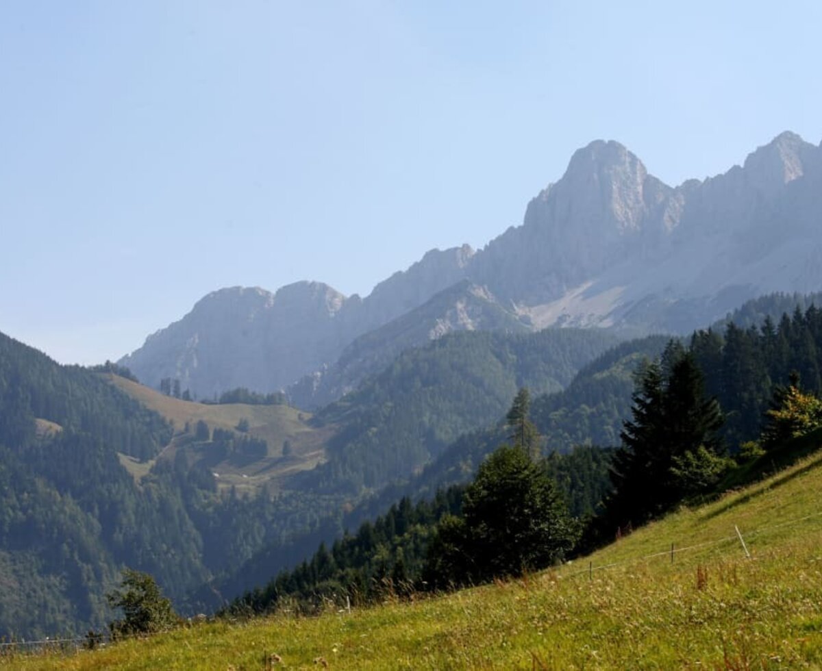 Blick auf die Karawanken