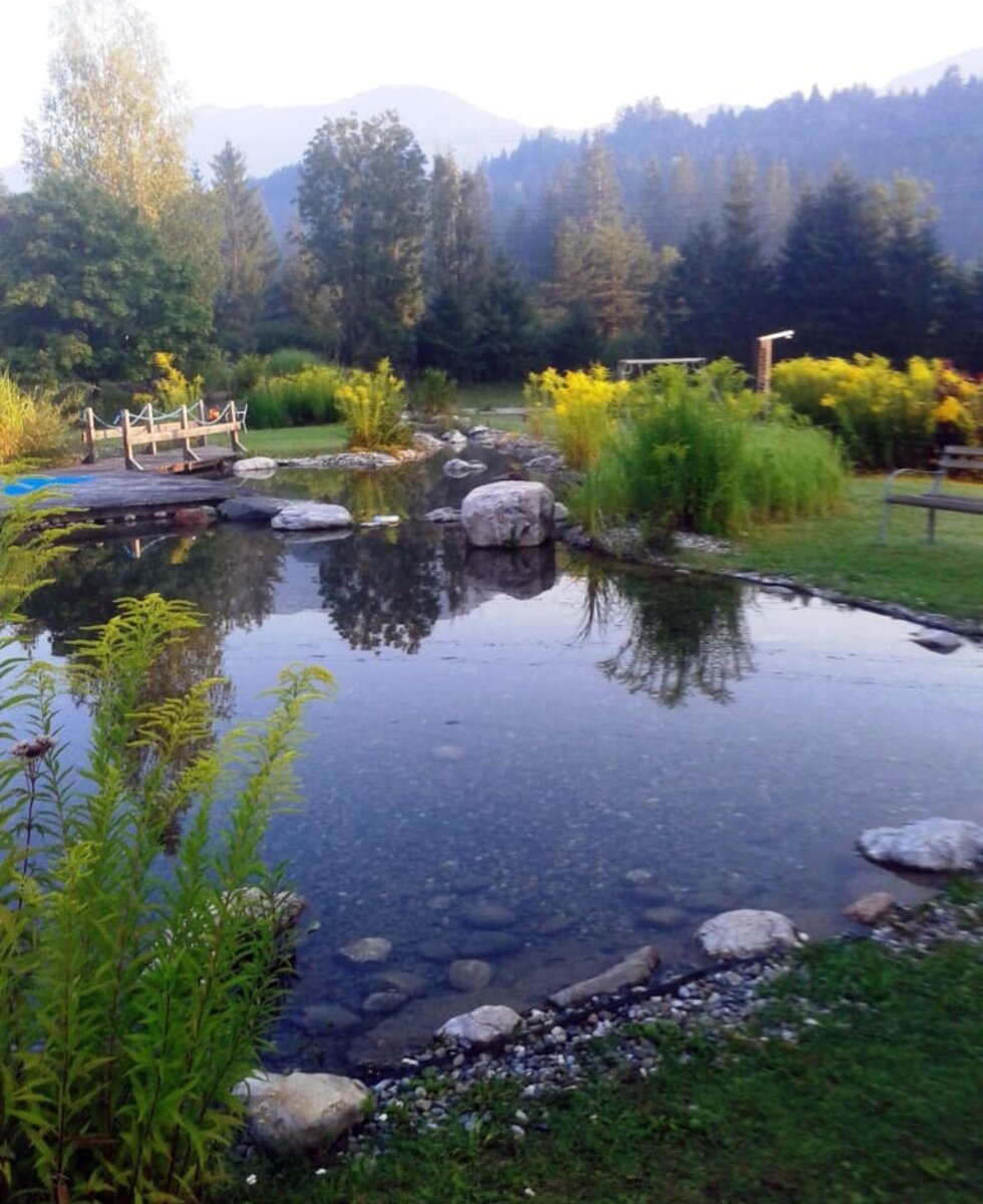 Aussicht auf den Teich