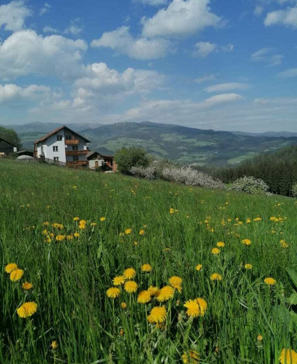 Aussicht - oberes Lavanntal