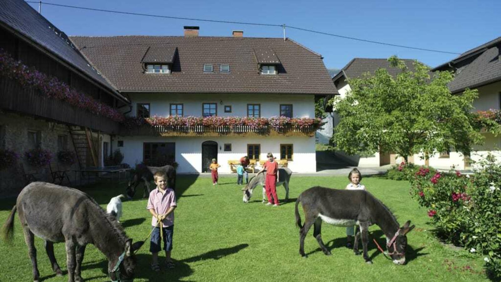 Bauernhof Perhinig