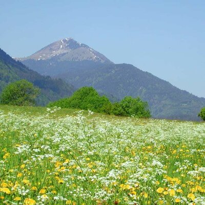 Blick auf den Oisternig