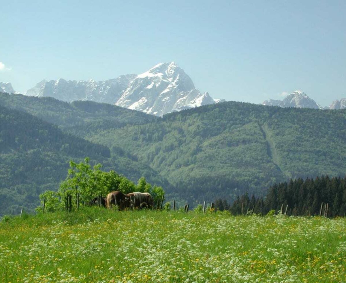 Blick auf den Mangart