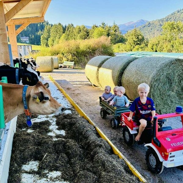 Spaß bei der Stallarbeit