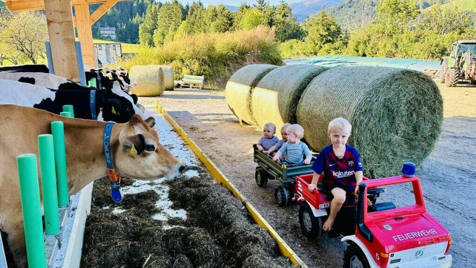 Spaß bei der Stallarbeit