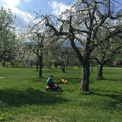 Im Obstgarten