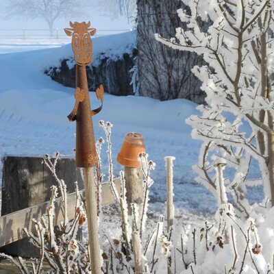 Schnee verzaubert den Hof