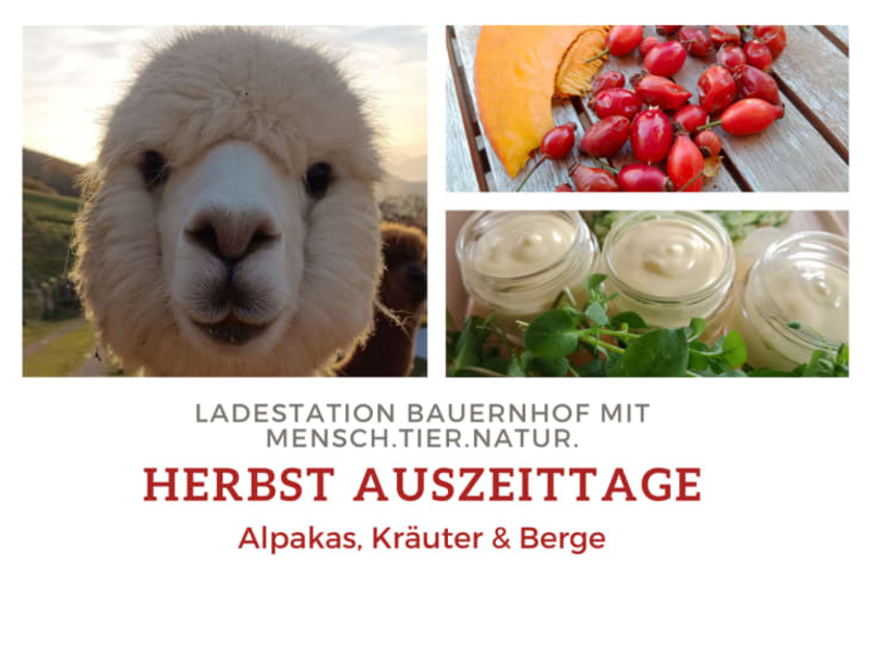 Herbstauszeit