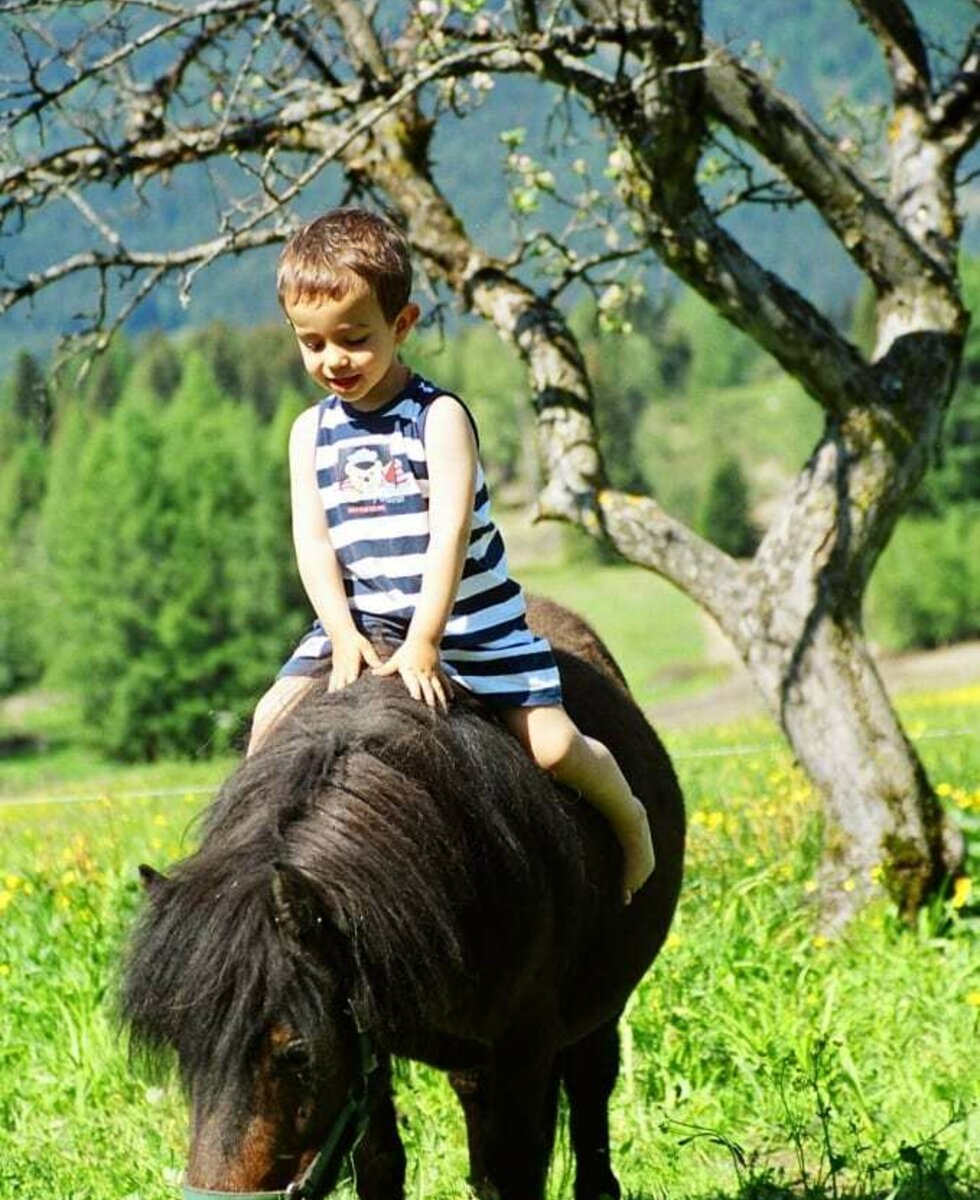 Spannende Reitversuche mit Minipferd Lädy