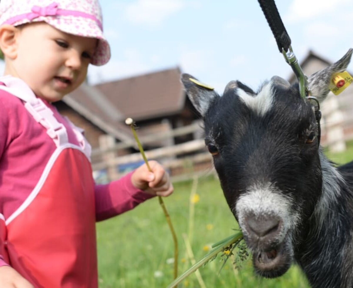 Teodora und Meggy genießen den Spaziergang :)