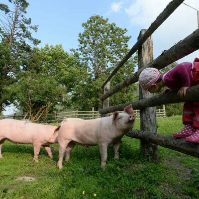 Moritz und Anton begrüßen Teodora am Zaun :)