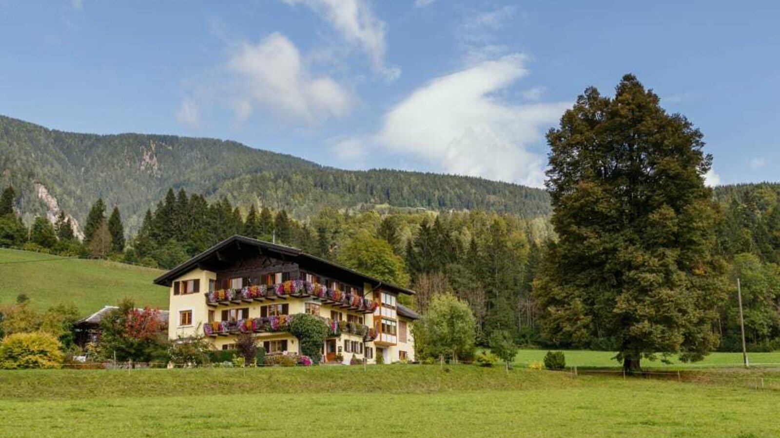 Biobauernhof Wegscheider: Herrliche Einzellage