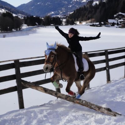 Reiten im Winter mit unseren Hafis