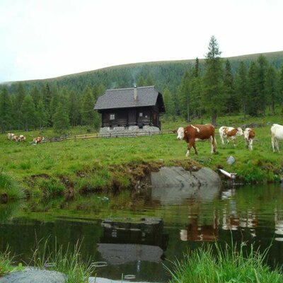 Fischteich im Hintergrund die Almhütte