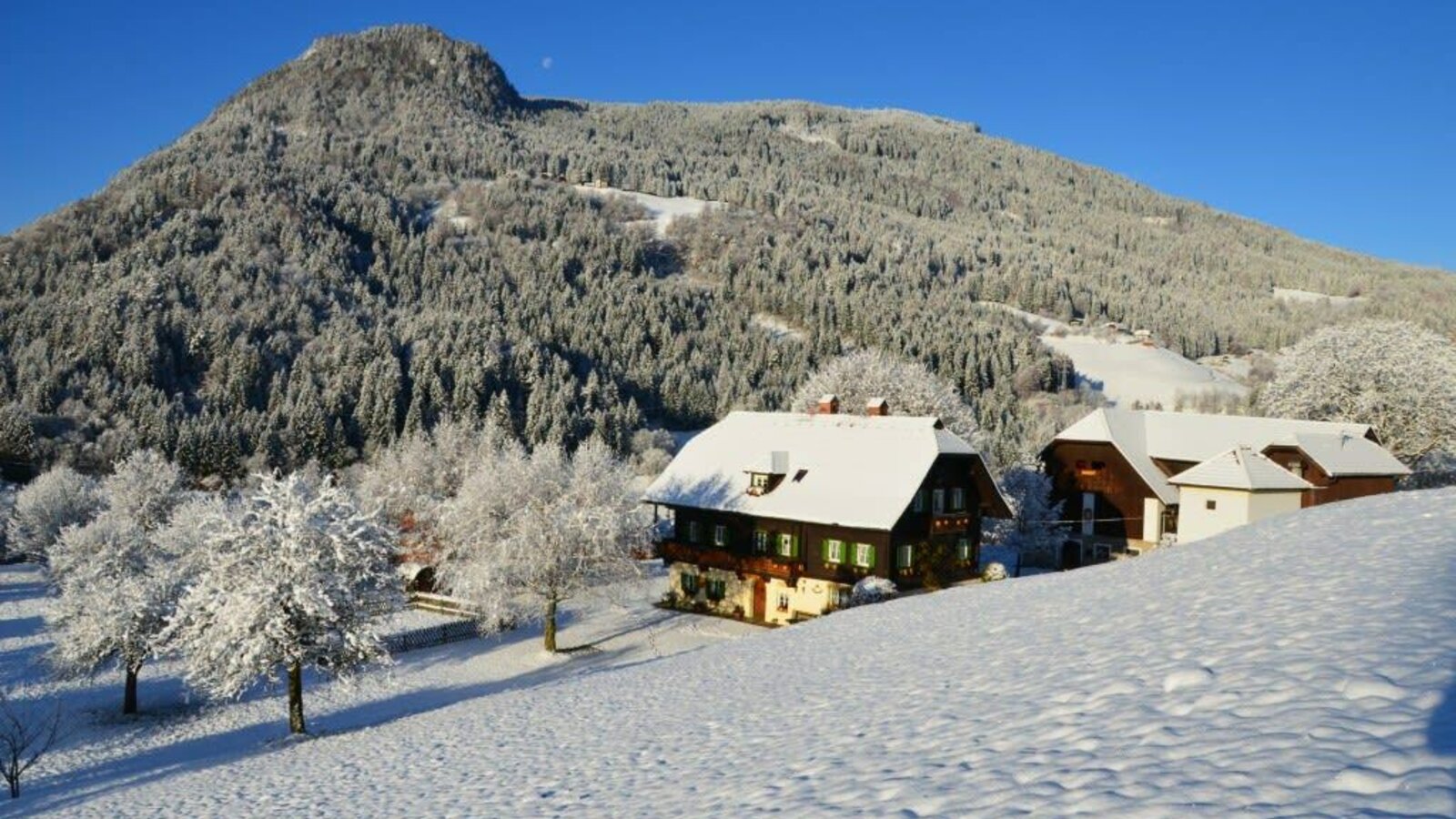 Der Hof im Winter