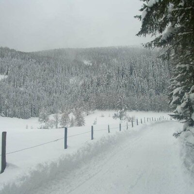 Im Winter können Sie hier Rodeln, Schneeschuhwandern, Langlaufen