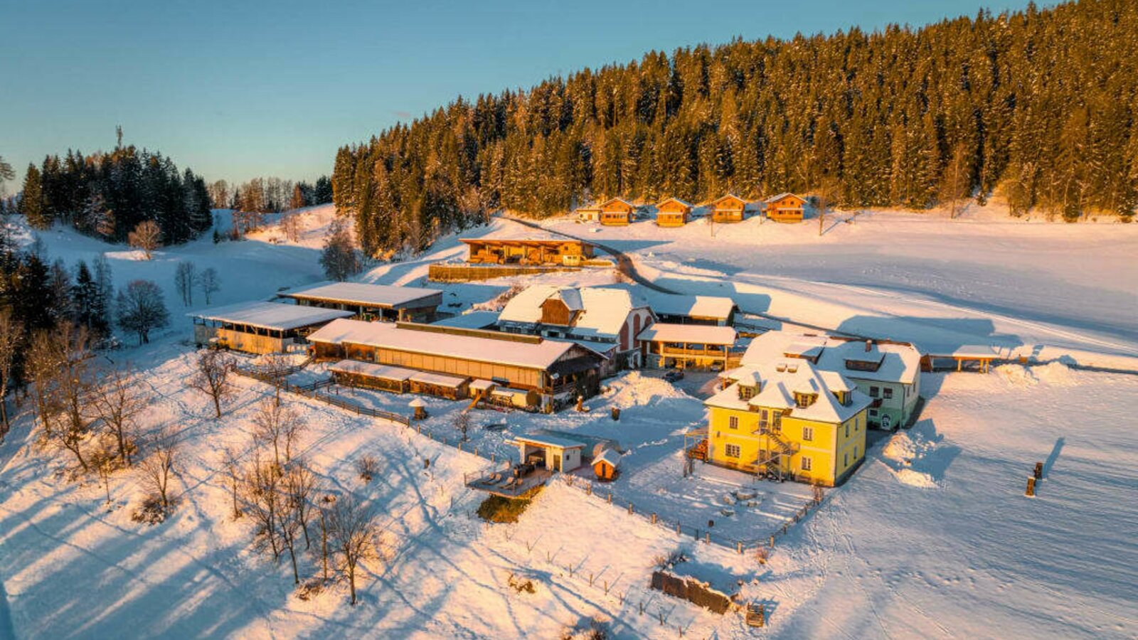 Erlebnisbauernhof Steinerhof im Winter