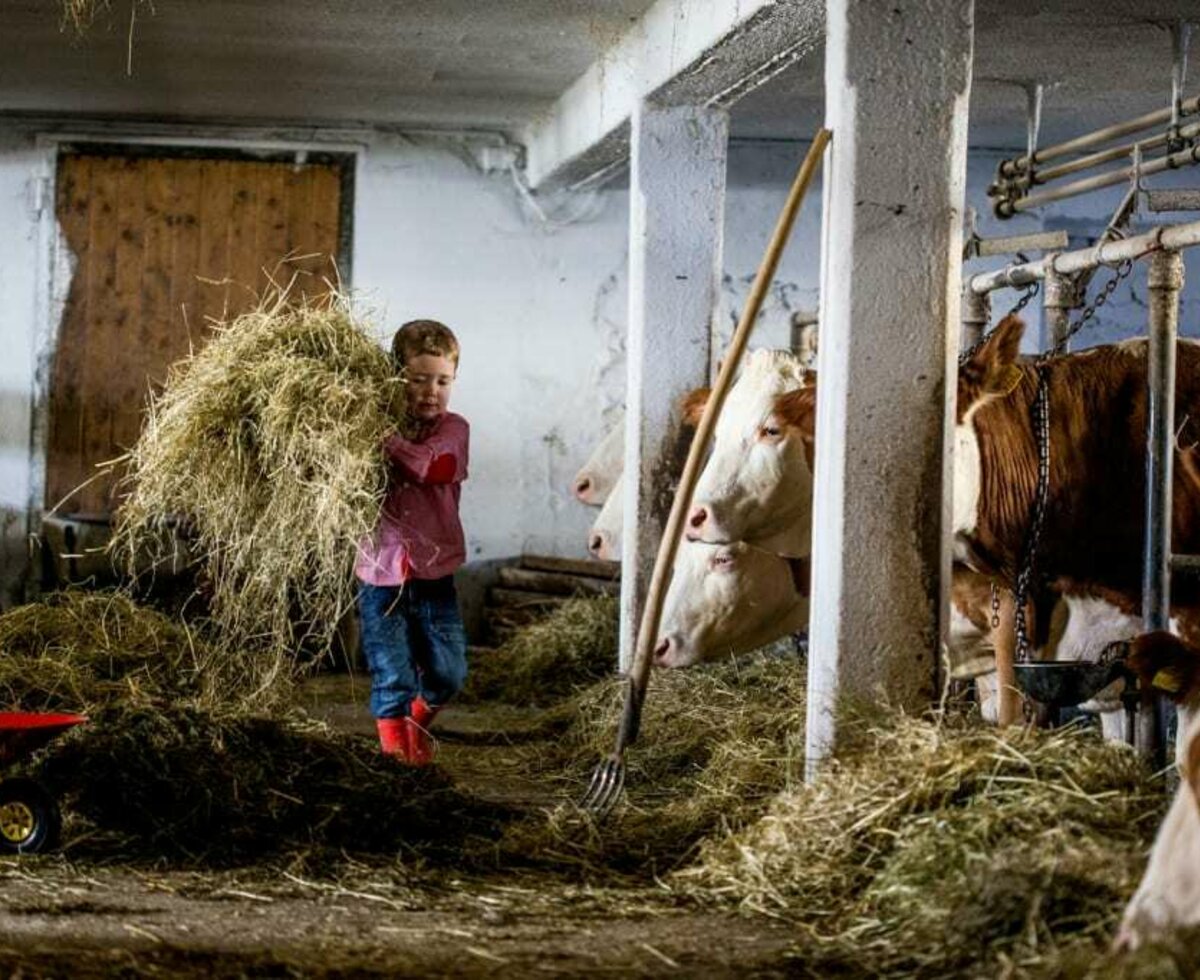 Kinder helfen fleißig beim Füttern