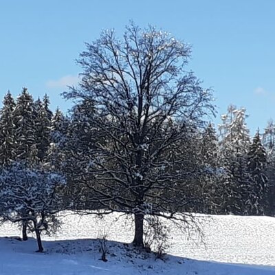 Winterlandschaft