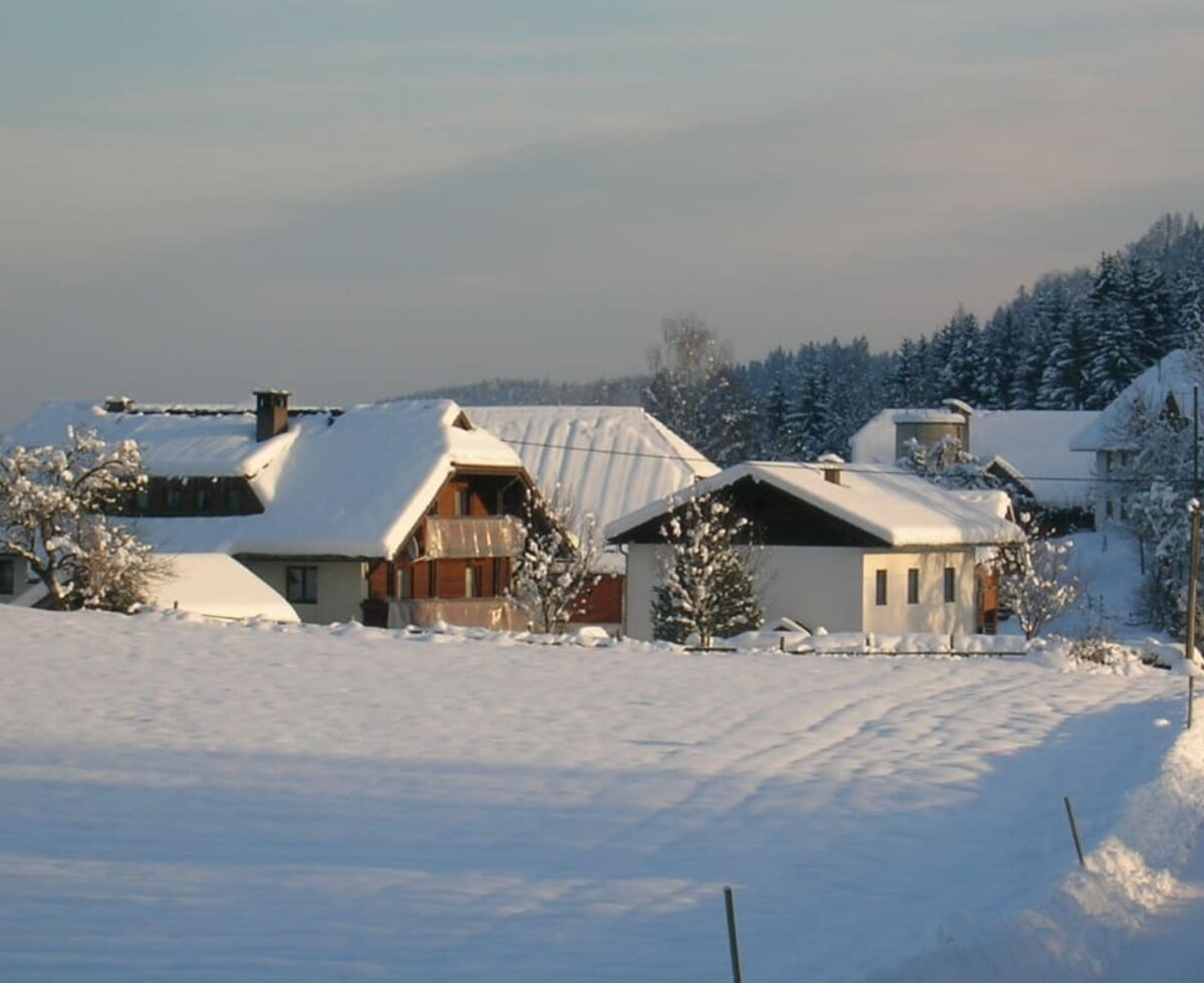 Zeislerhof im Winter