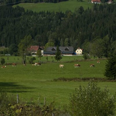 Blick vom Häusl