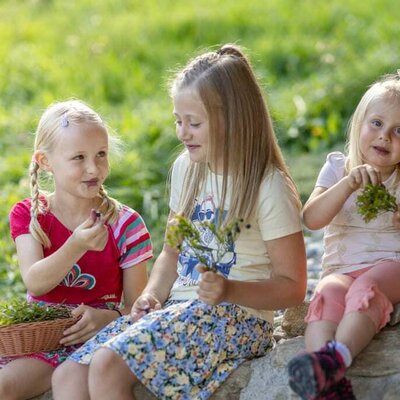 Blaubeeren schmecken am besten direkt vom Strauch