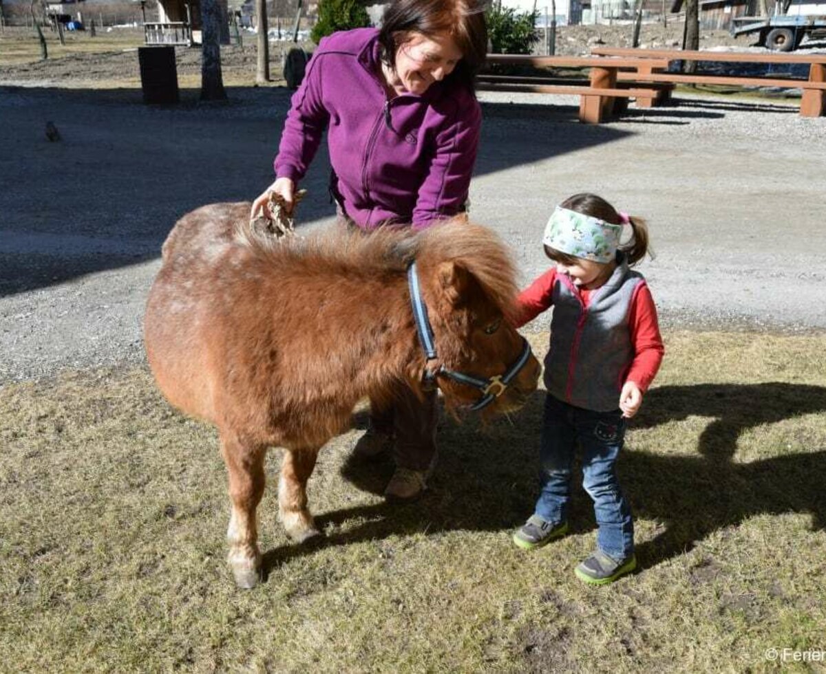 Pony Bella