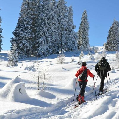 Winterlandschaft