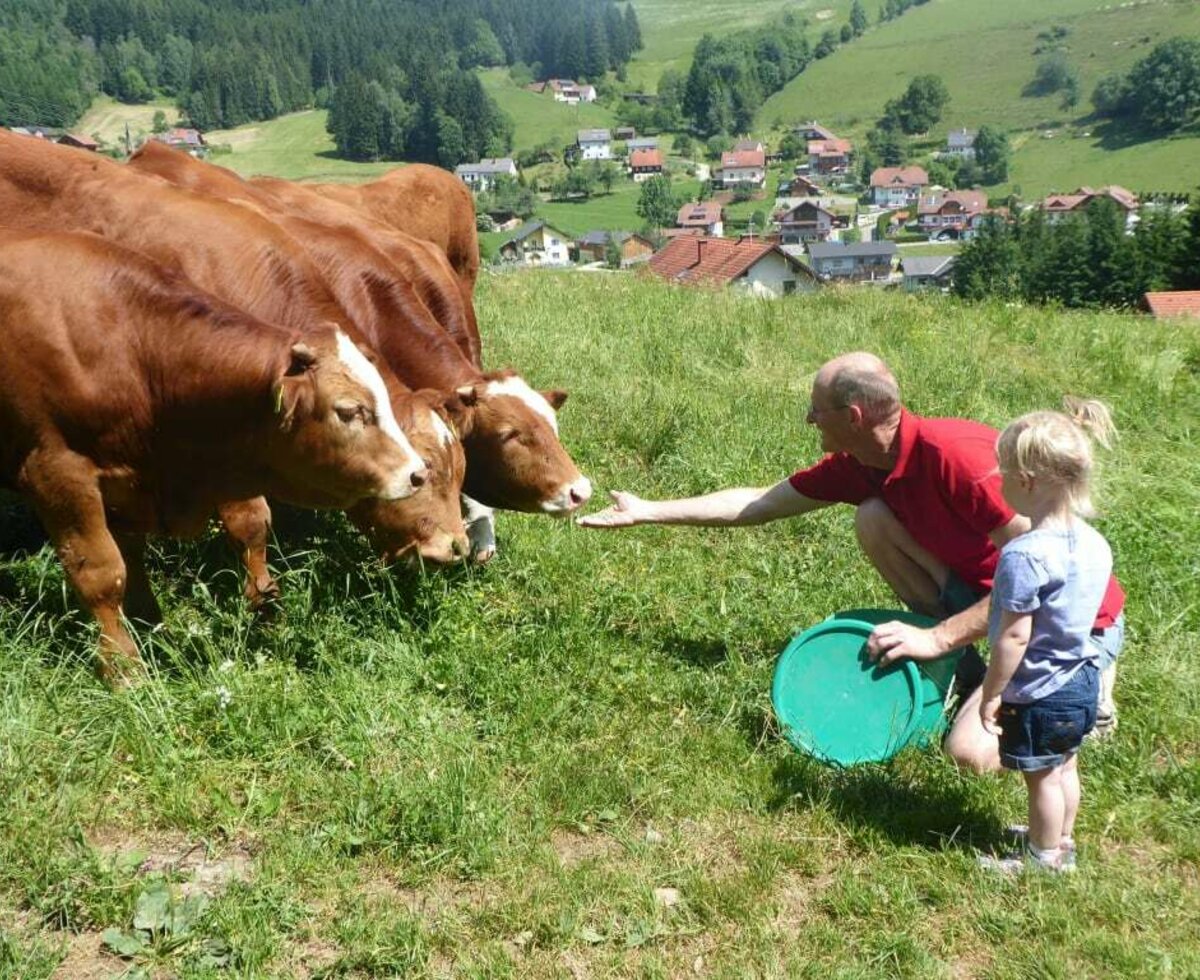 Trippolthof_mitdemBauernaufderAlm