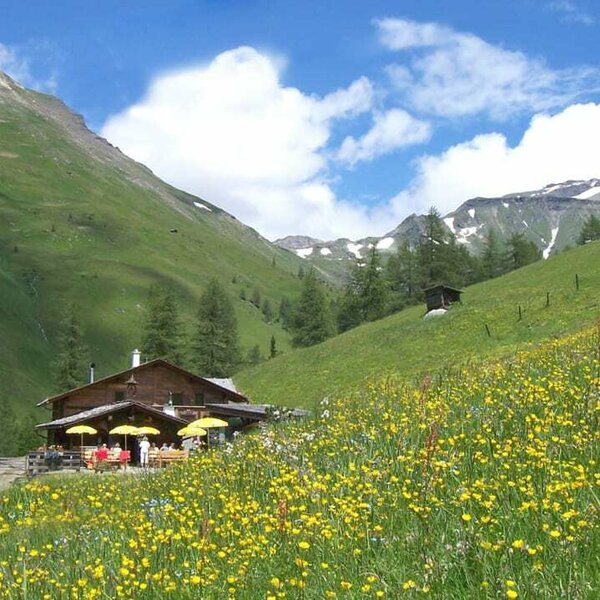 Hütte Sommer