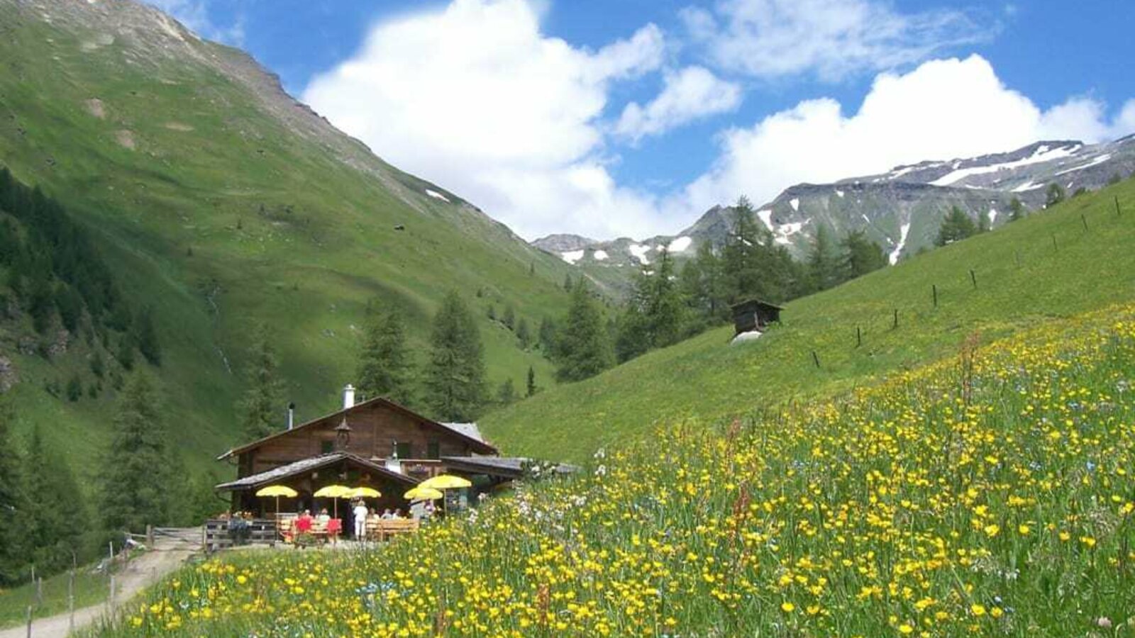 Hütte Sommer