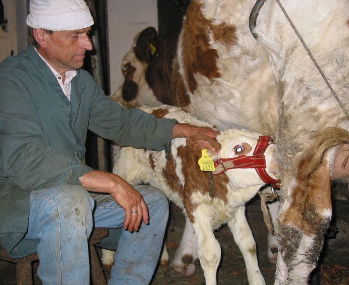 Tiere am Bauernhof