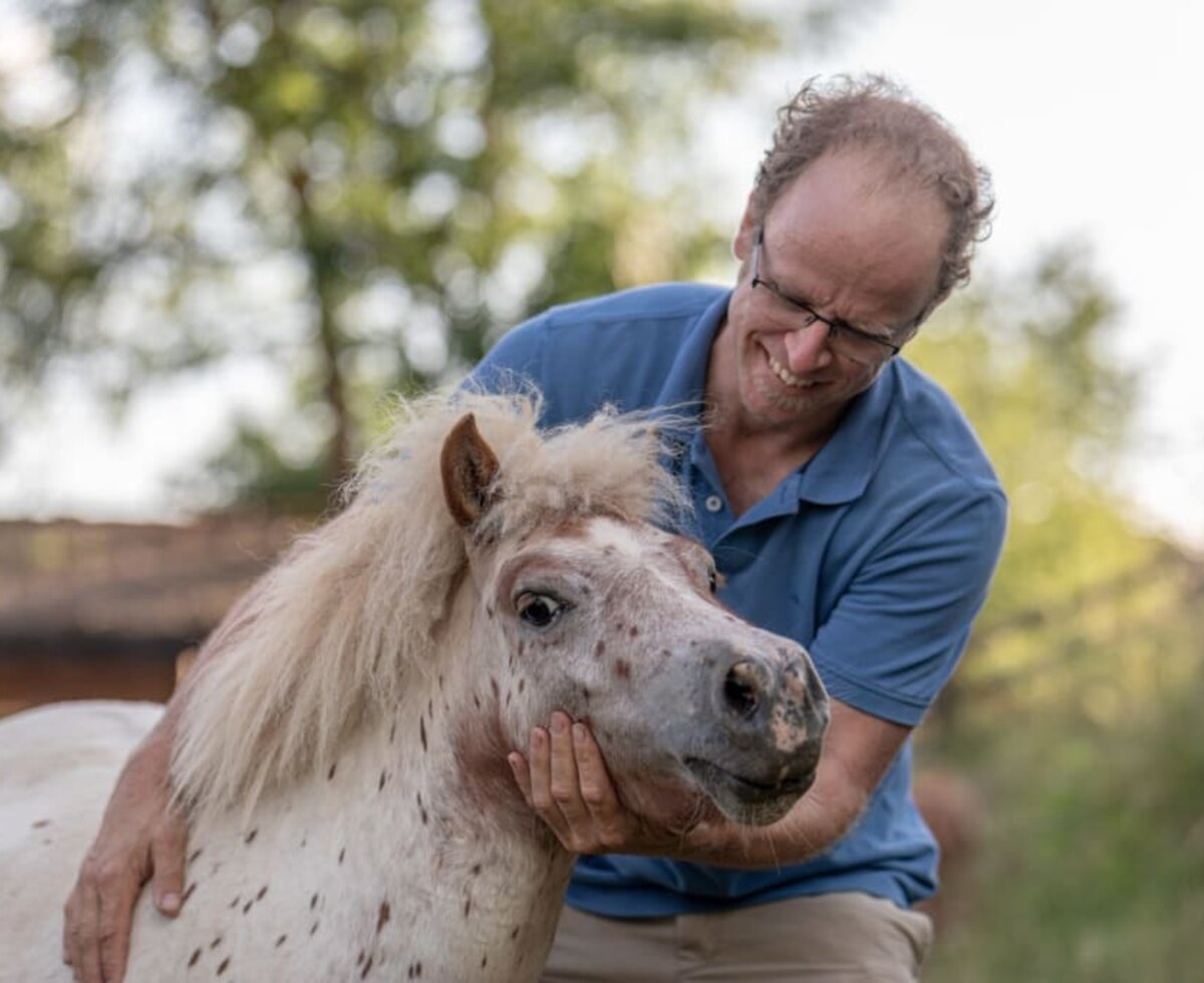 unser Pony - Johnny