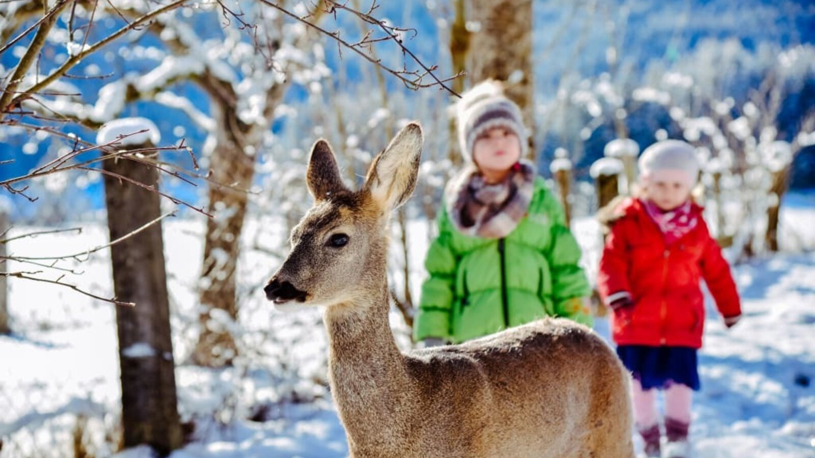 Bambi  mit Kindern