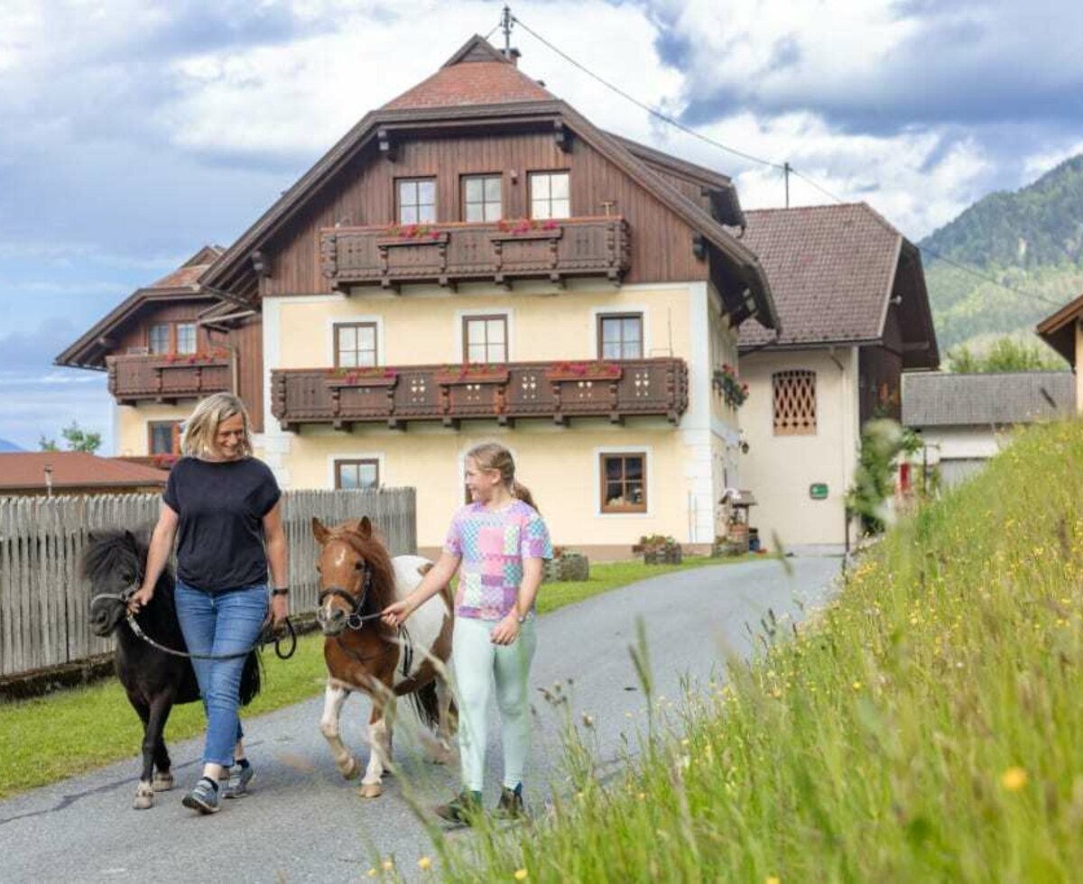 Spaziergang mit Lilly und Apollo