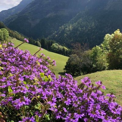 Schöne Aussicht ins Tal 