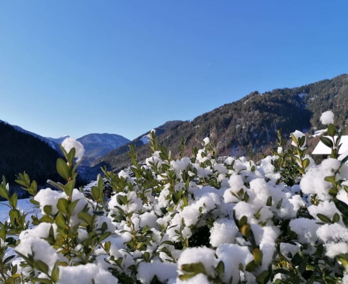 Blick in die Berge 