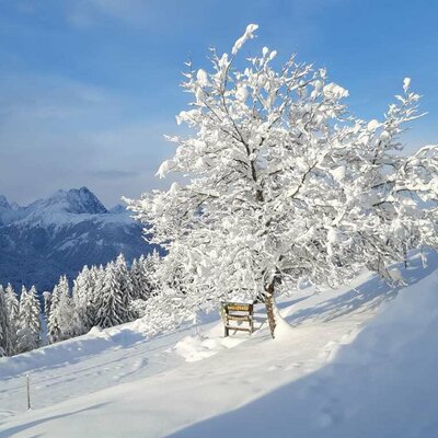 Winter am Goldberg - unendliche Ruhe