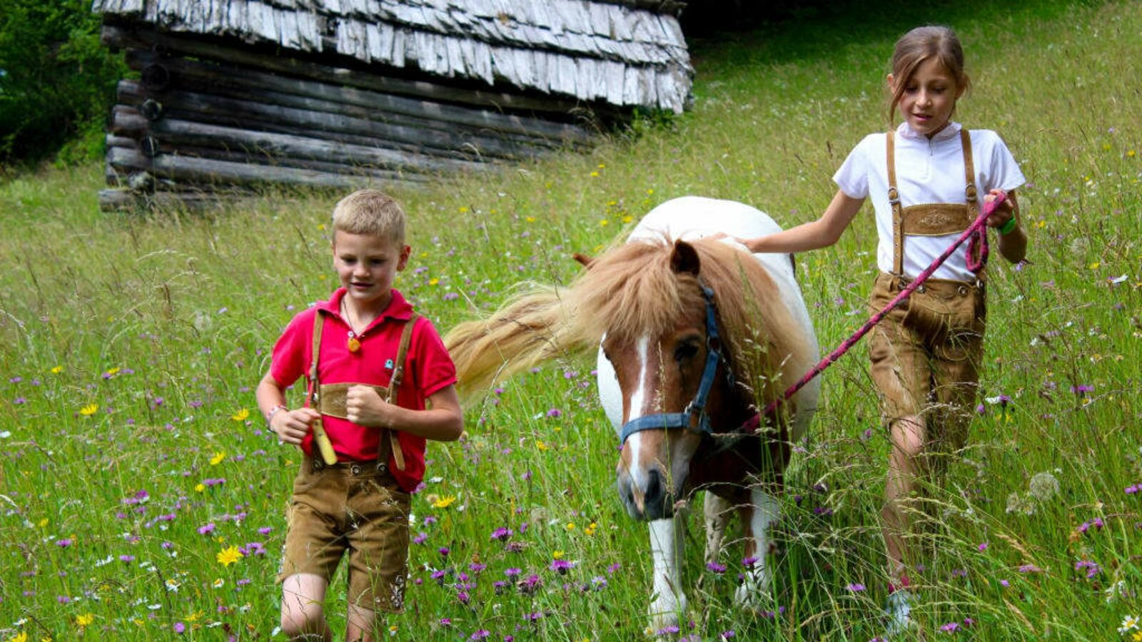 Ausflug mit Pony Samira