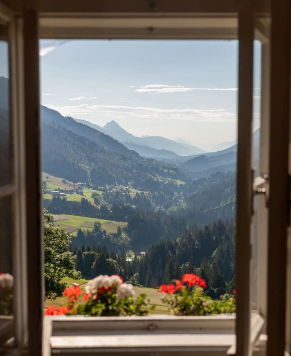 Blick aus dem Fenster