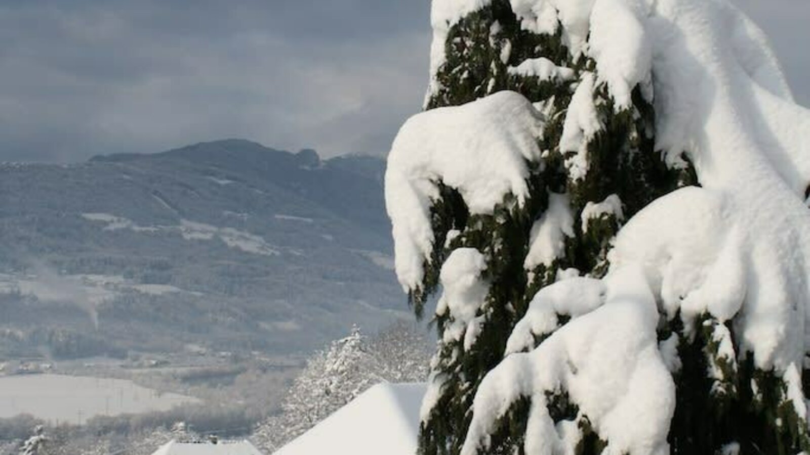 Winter am Hoferhof