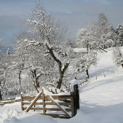 Winterpanorama