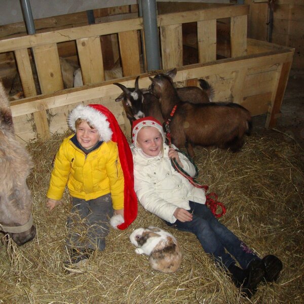 Weihnachten im Stall Weihnachten im Stall