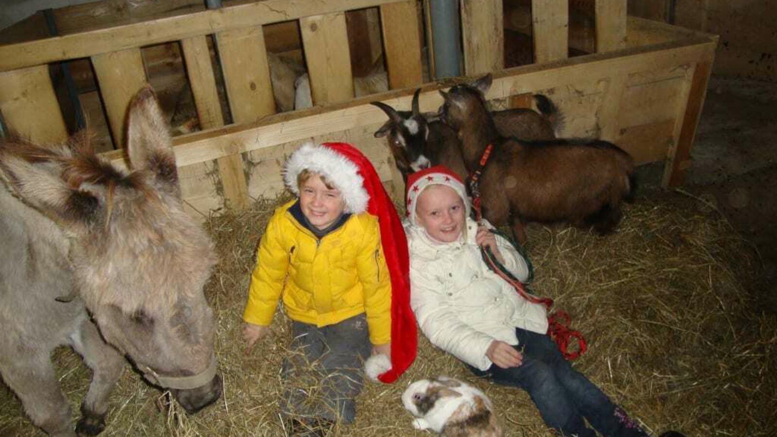 Weihnachten im Stall