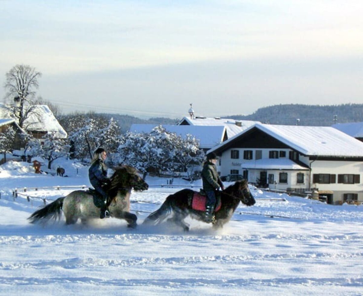 Reiten im Schnee