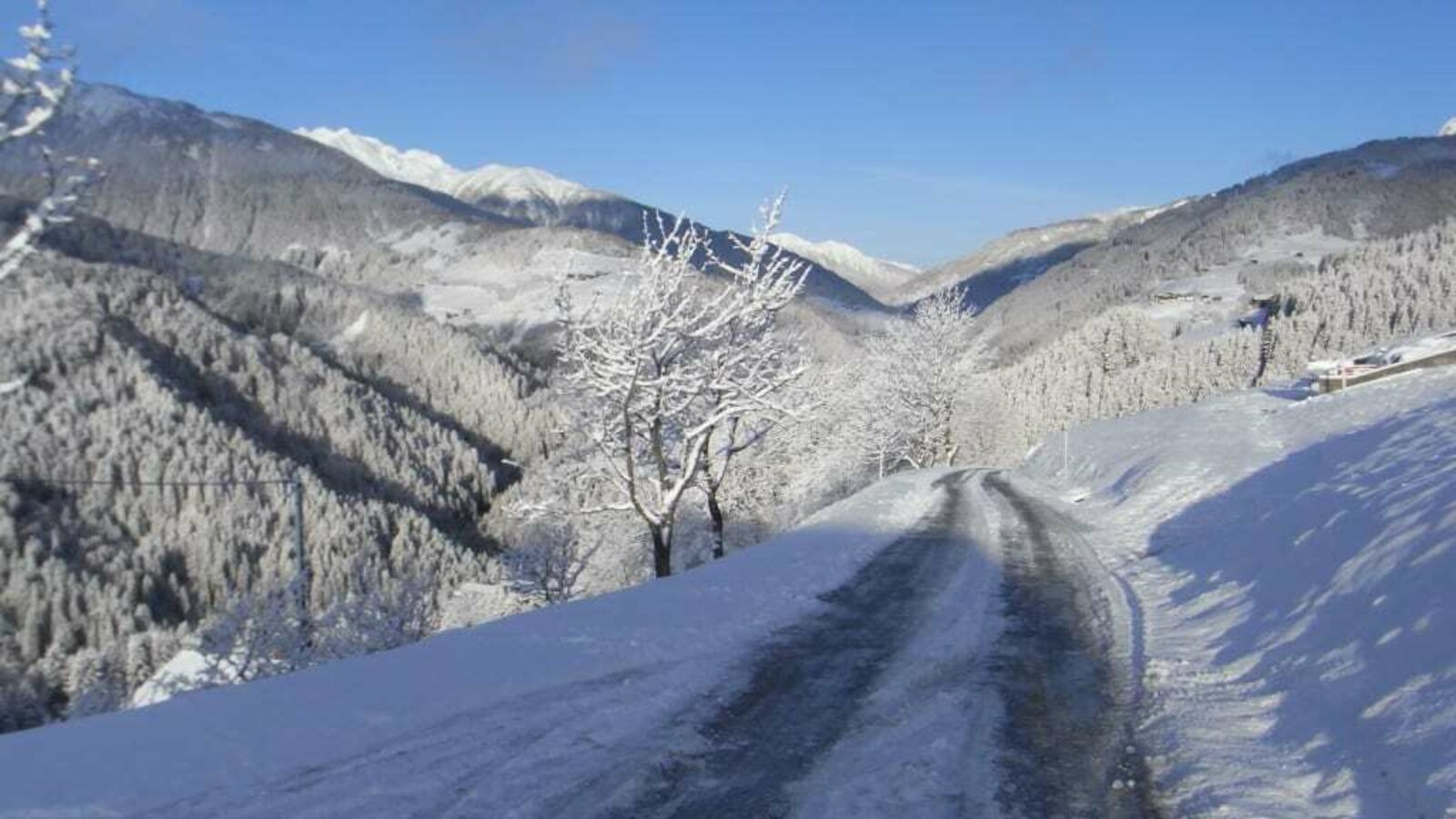 Winterblick vom Haus