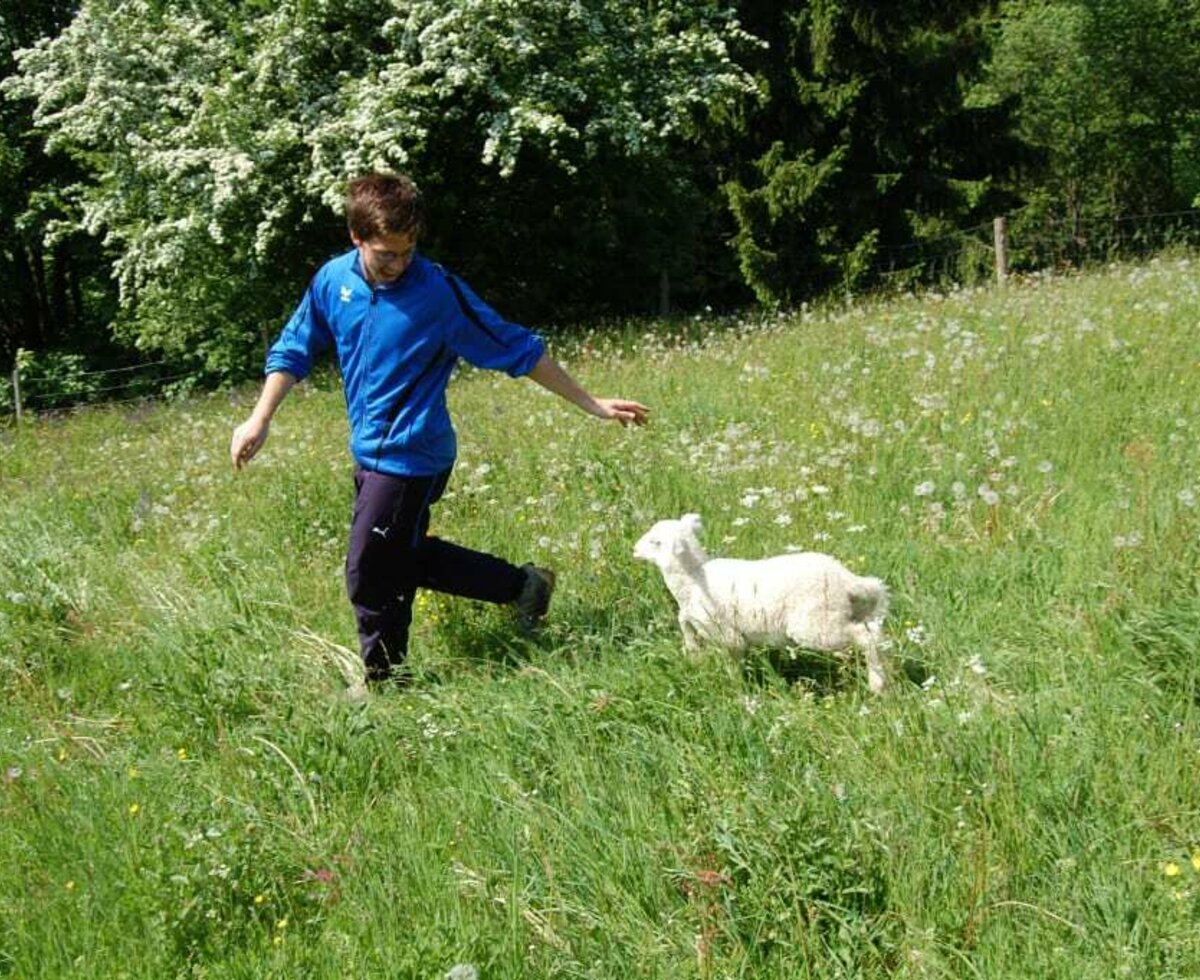 Wettlauf gegen wilde Tiere