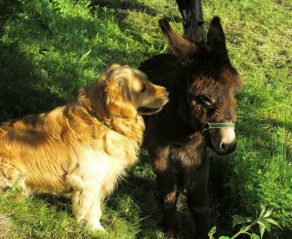 Bruno und Paloma