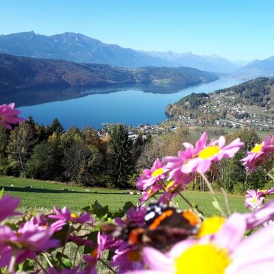 Herbst in Kärnten